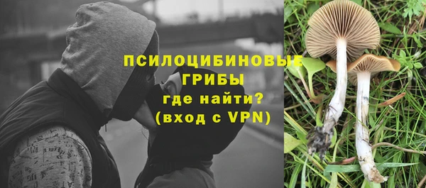ПСИЛОЦИБИНОВЫЕ ГРИБЫ Покачи