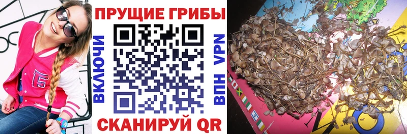Галлюциногенные грибы GOLDEN TEACHER  Кудрово 
