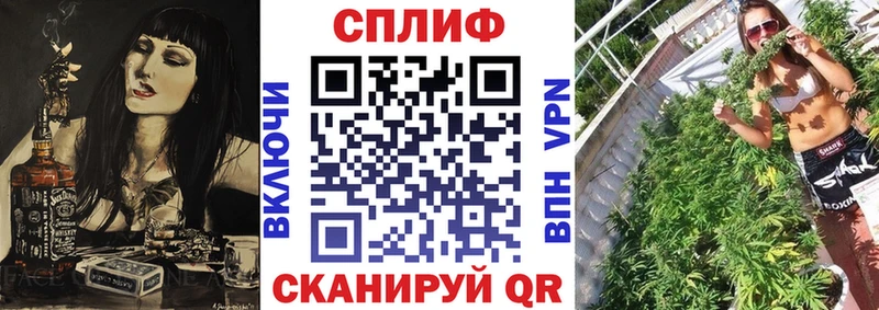 где купить наркоту  ссылка на мегу ССЫЛКА  Марихуана OG Kush  Кудрово 